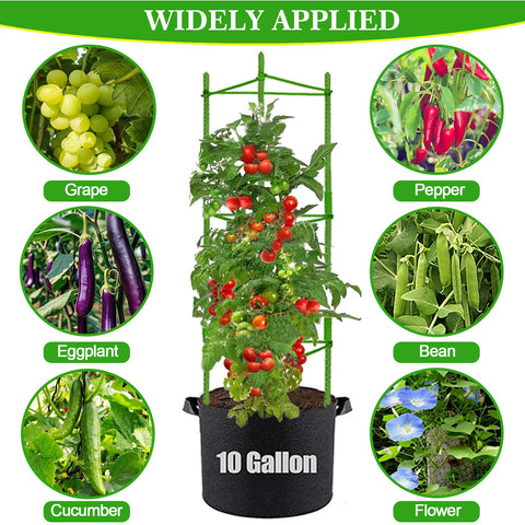 Moirsunt versatile planter kit for garden, balcony, and indoor environments
