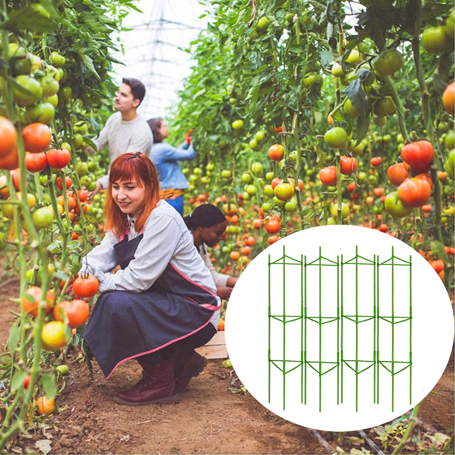 Moirsunt supports suit tomatoes cucumbers beans peppers and more.