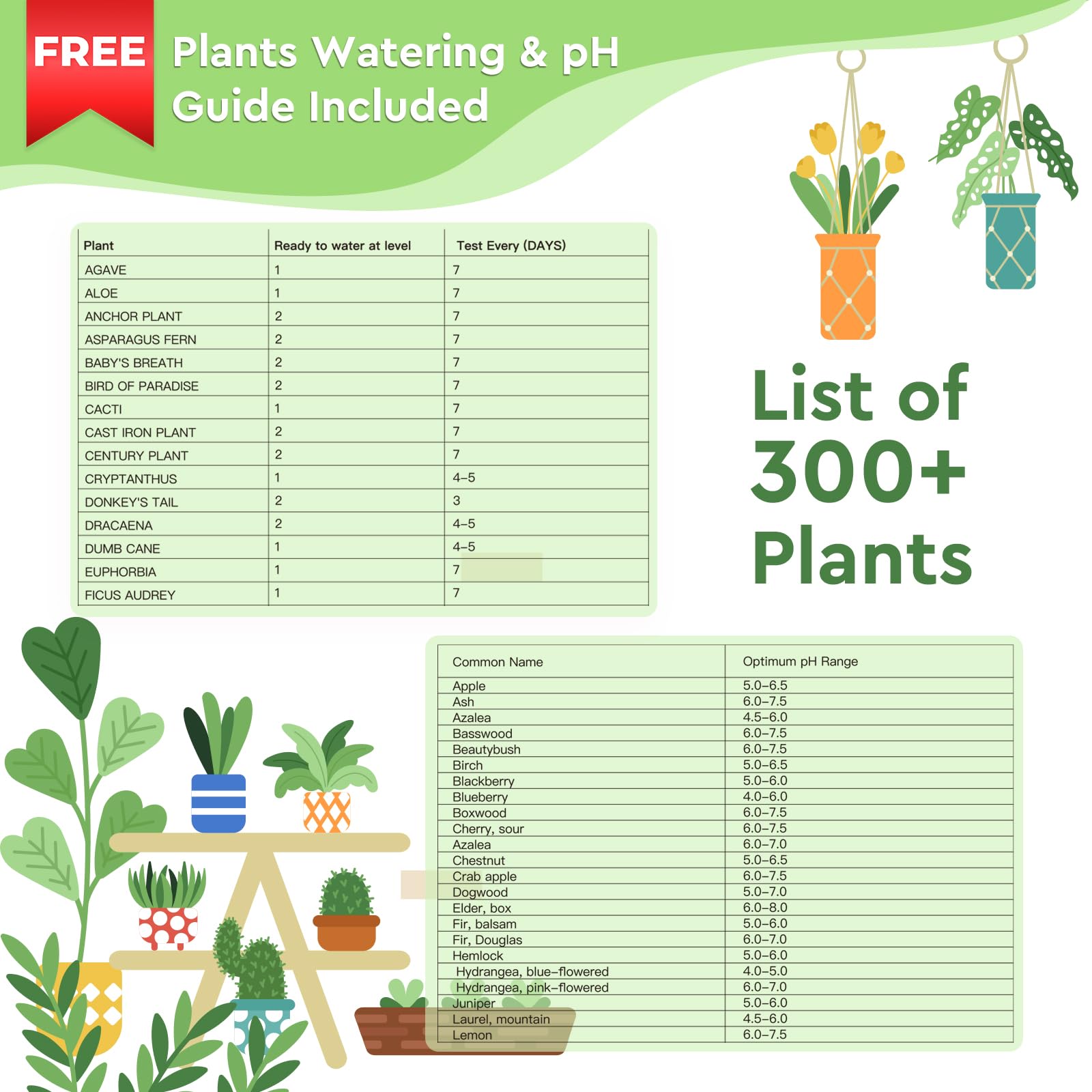 Moistenland is great for indoor plants and outdoor lawns alike.