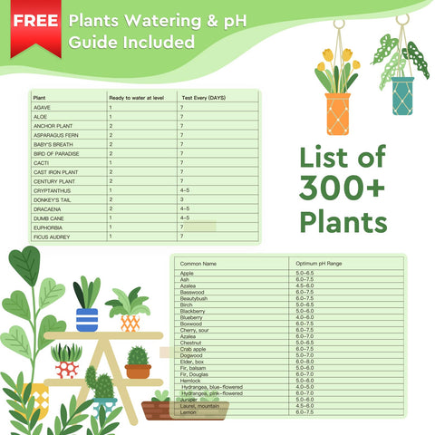 Moistenland is great for indoor plants and outdoor lawns alike.