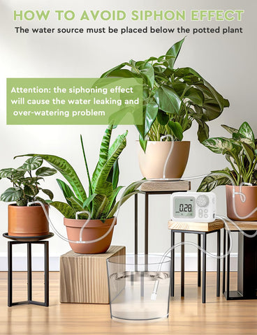 Moistenland siphon-prevention tip and timer in use