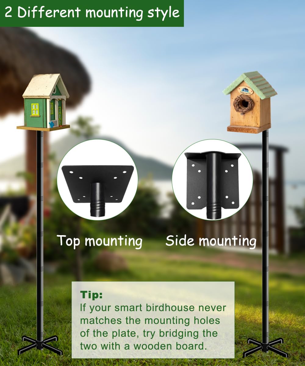 Outdoor backyard Mokeyder setup ready for bird feeders