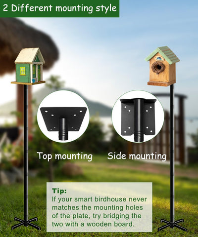 Outdoor backyard Mokeyder setup ready for bird feeders