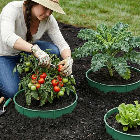 MoKo border acts as pest barrier and soil retention boundary