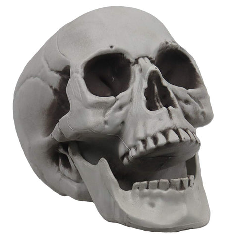 MOKRY PARTY life-size skeleton skull for outdoor displays, sturdy and weather-ready.