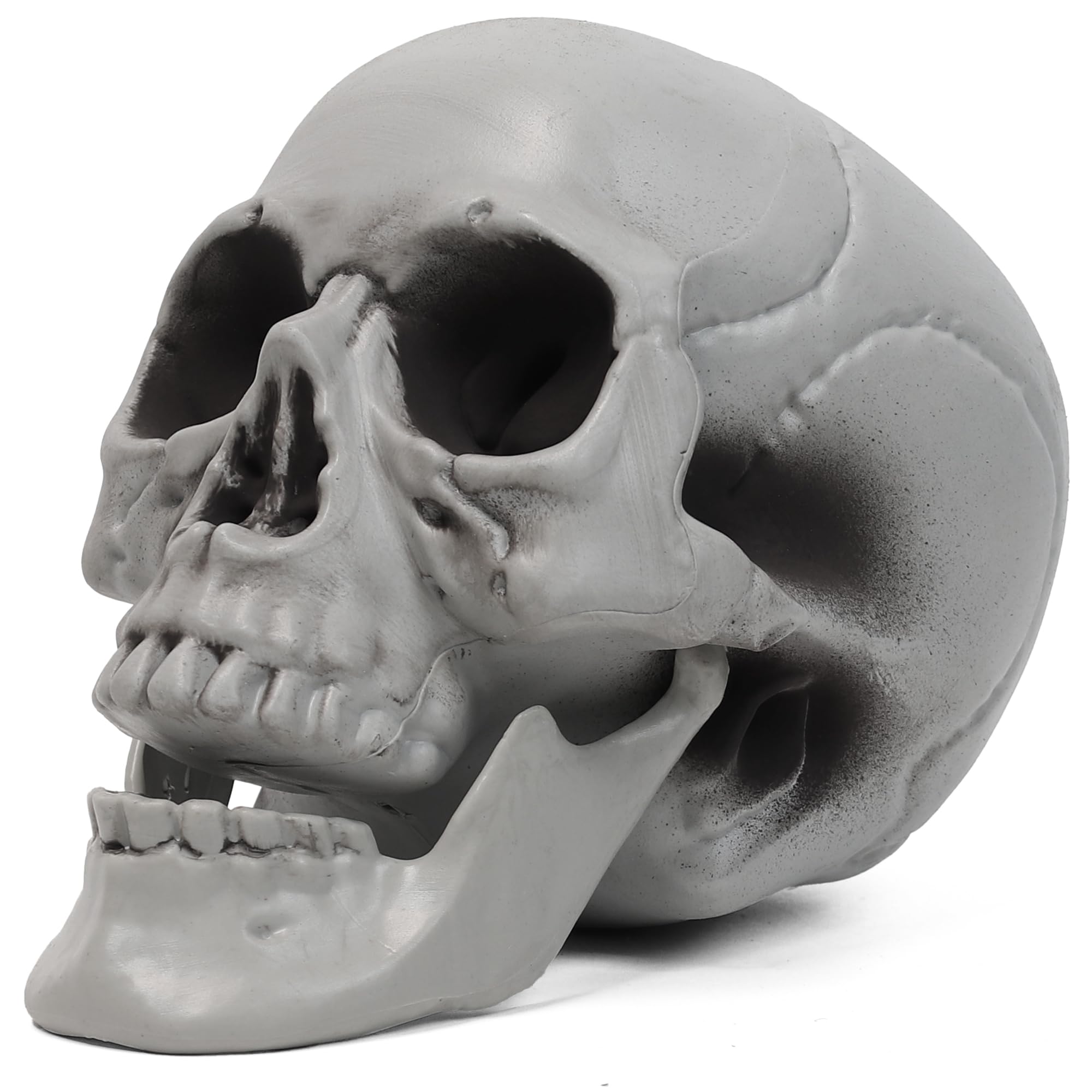 MOKRY PARTY paintable skull surface enables creative color schemes.