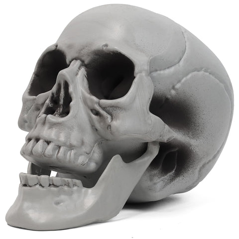 MOKRY PARTY paintable skull surface enables creative color schemes.