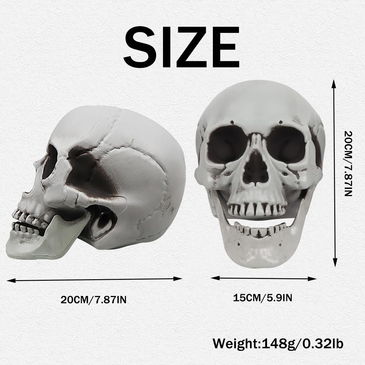 MOKRY PARTY weatherproof plastic skull for indoor and outdoor Halloween setups.