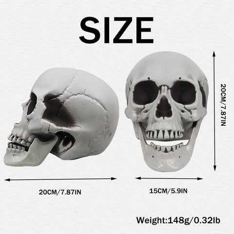 MOKRY PARTY weatherproof plastic skull for indoor and outdoor Halloween setups.