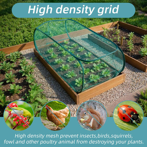 Molain 39x18x16 garden cover extended offers roomy protection for tomatoes and peppers.