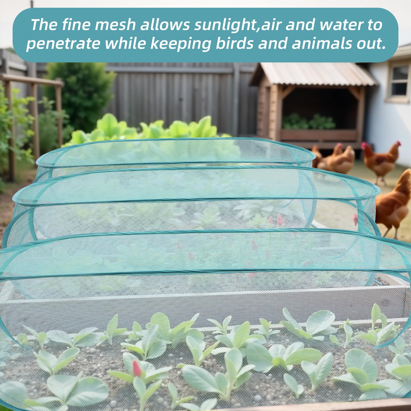 Molain all-weather mesh shields crops while allowing sunlight and airflow.