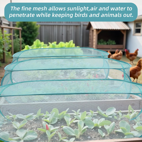 Molain all-weather mesh shields crops while allowing sunlight and airflow.