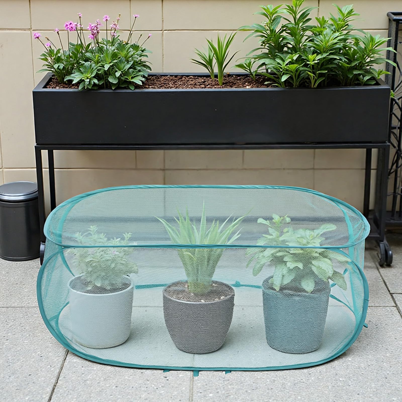 Molain garden guards suit balconies and nurseries for organic pest deterrence.