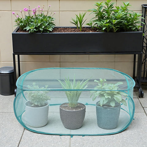 Molain garden guards suit balconies and nurseries for organic pest deterrence.