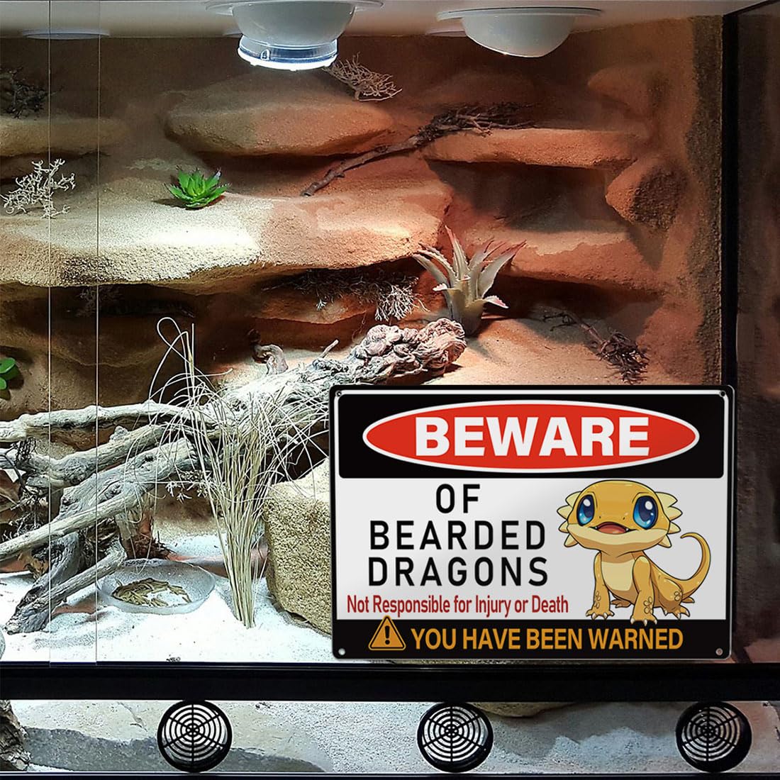 MOLESS gift for dragon lovers and hobbyists