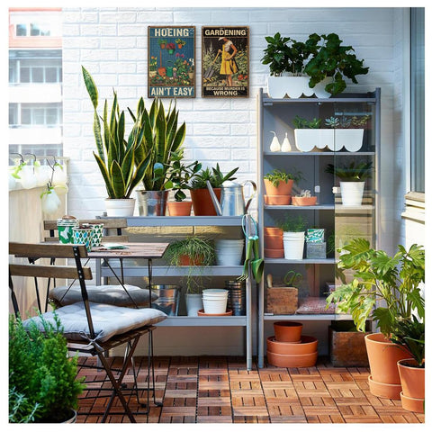 MOLESS sign makes a thoughtful gift idea for plant lovers.