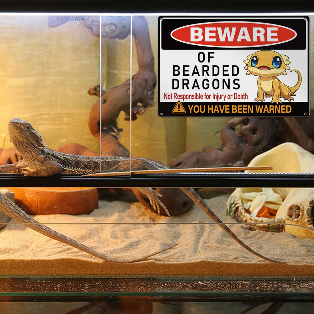 MOLESS bearded dragon tank decor stays clear and vibrant