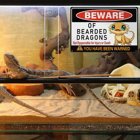 MOLESS bearded dragon tank decor stays clear and vibrant