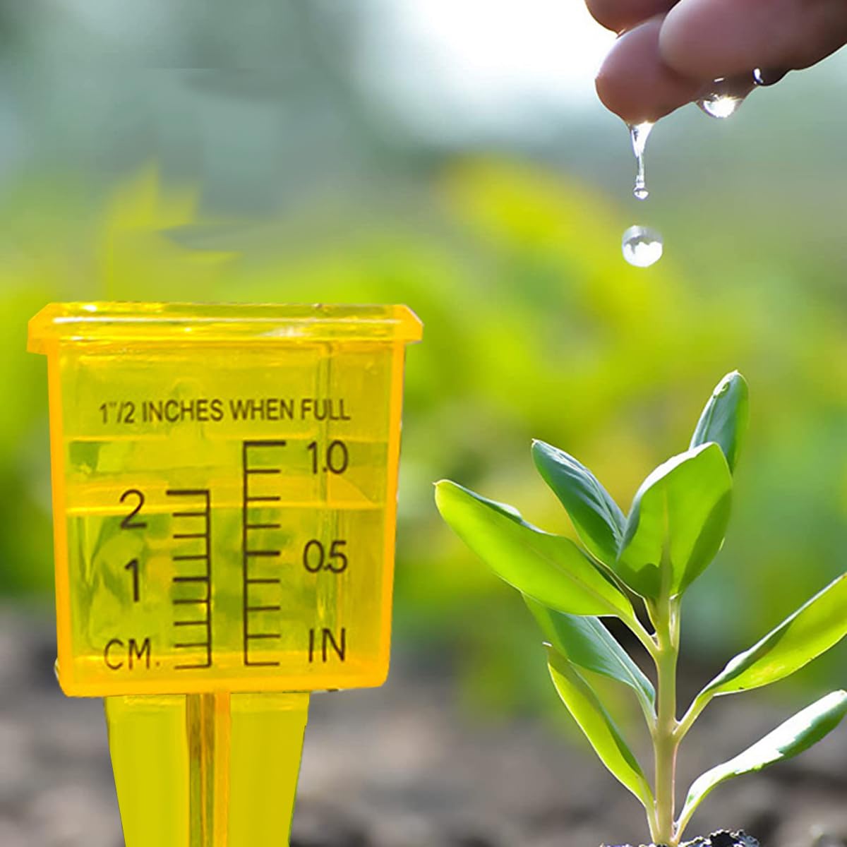 Mollensiuer compact design rain gauge fits neatly in garden spaces.