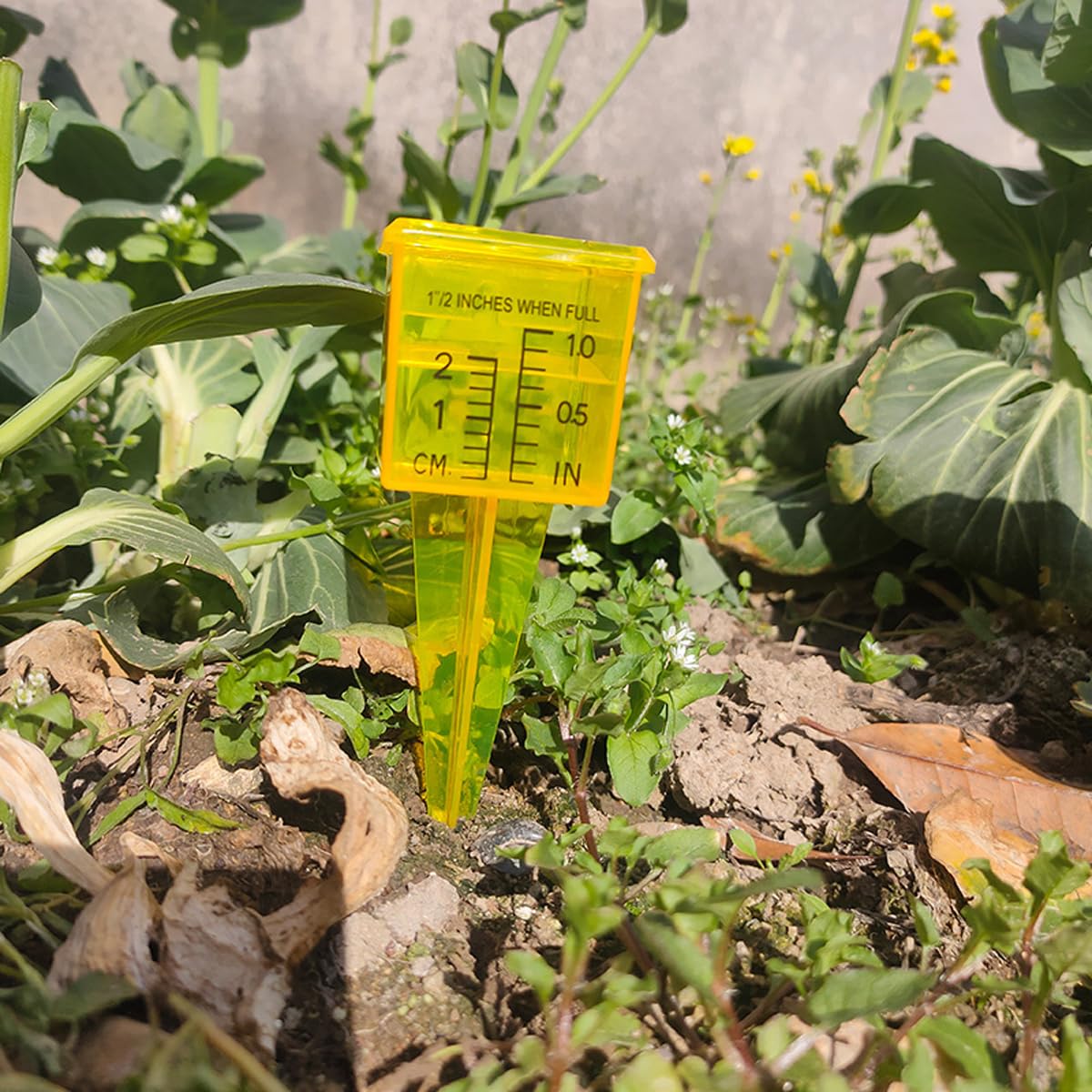 Mollensiuer rain gauge easy-install for flexible placement on lawn or fence.