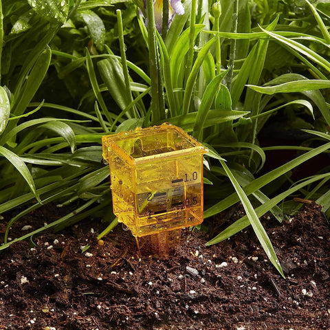 Mollensiuer pack-of-4 enables multi-location garden water measurement.