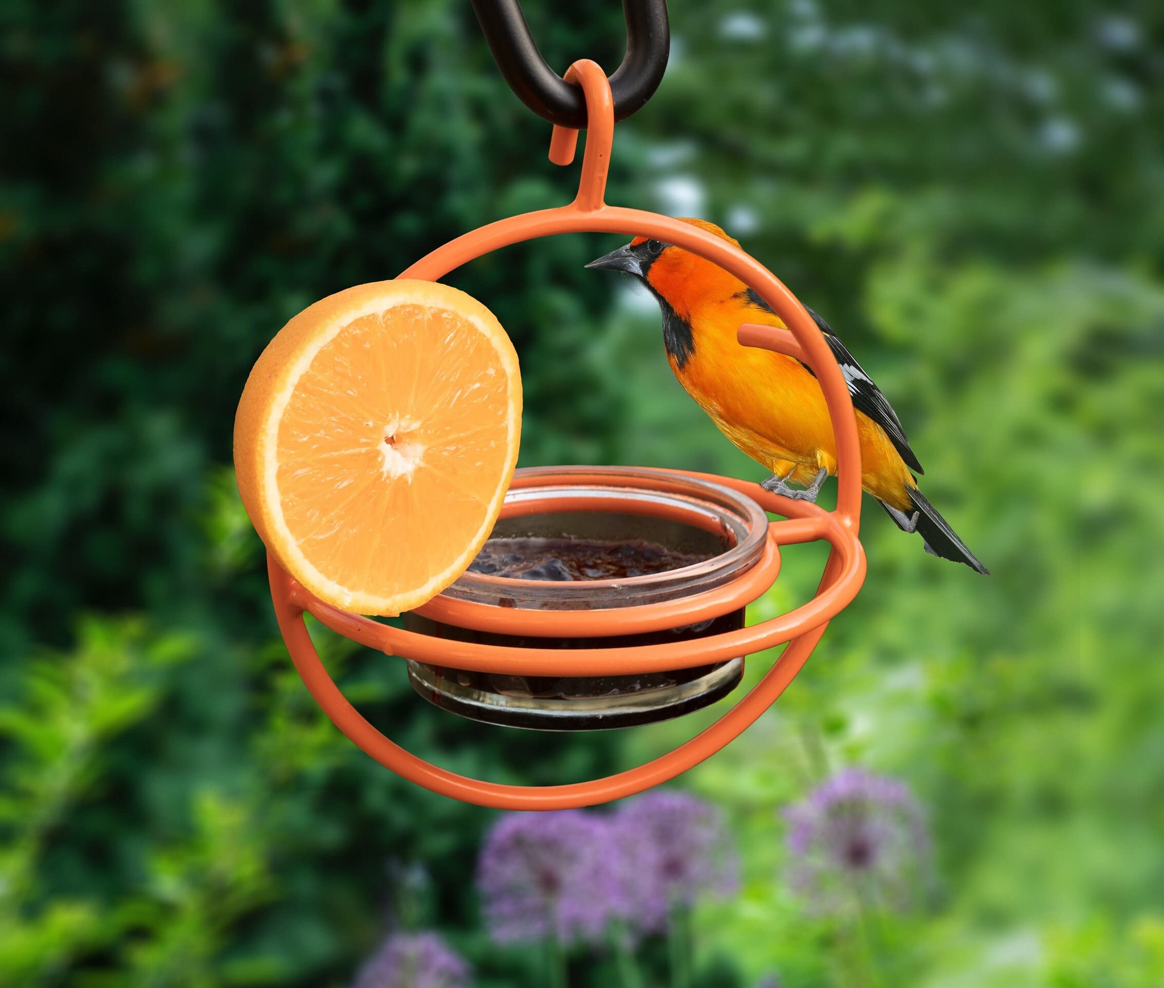 Monarch Abode glass bowl offers clear visibility of jelly and seeds.