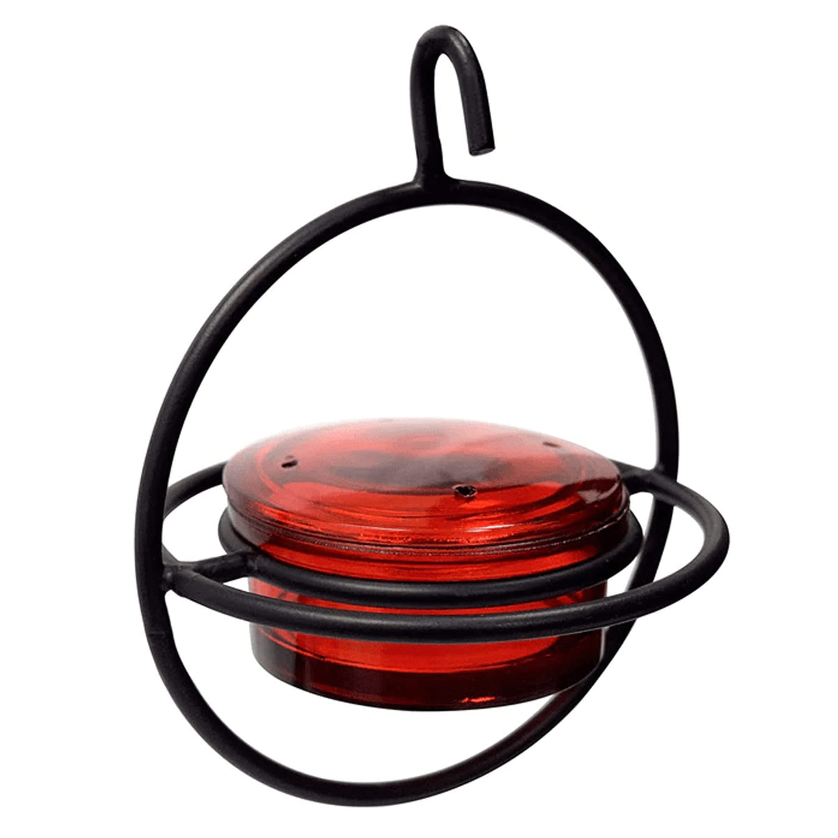 Monarch Abode hanging hummingbird feeder with glass red bowl and perch, ideal for garden birdwatching.