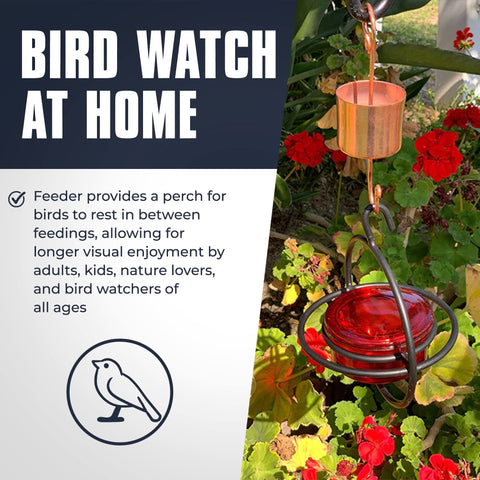 Monarch Abode lightweight feeder hangs easily for flexible placement on patios or trees.