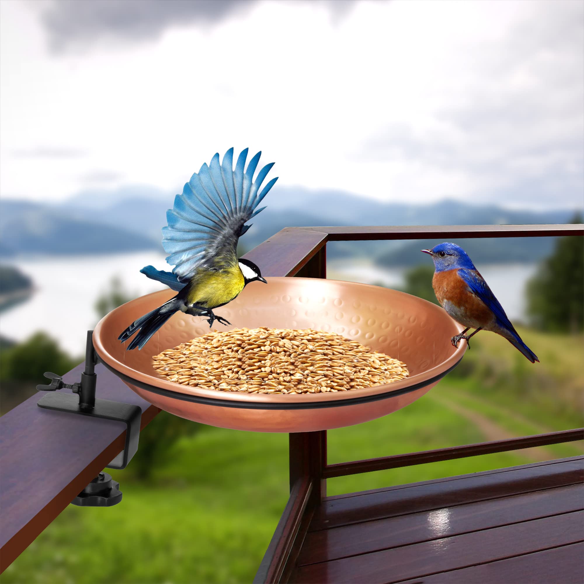 Monarch Abode 11-inch wide shallow bath accommodates multiple small birds.