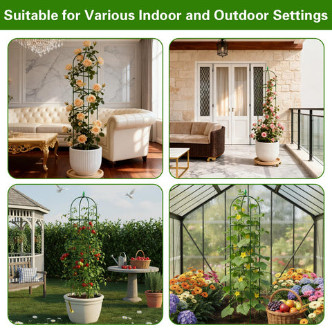 Monirsen indoor-outdoor garden decor adds elegance while guiding plants upward.