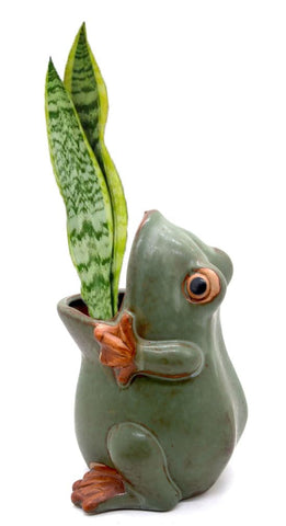 MONMOB frog planter with drainage hole for healthy roots