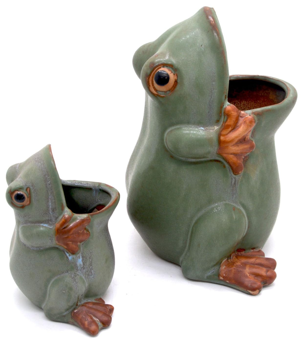 MONMOB frog succulent pot fits patios and balconies