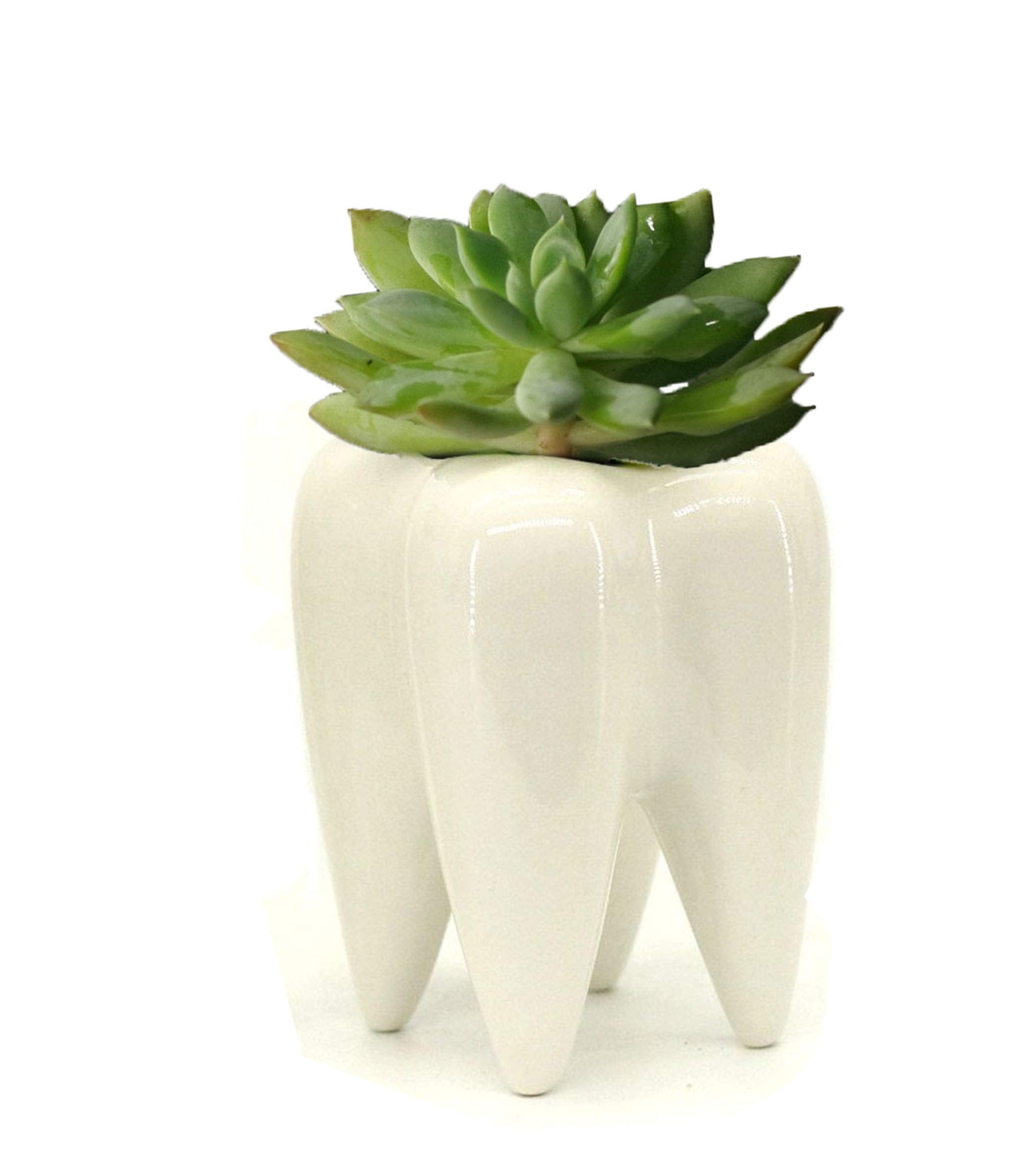 MONMOB tooth-shaped ceramic pot on a bathroom counter used as a toothbrush holder