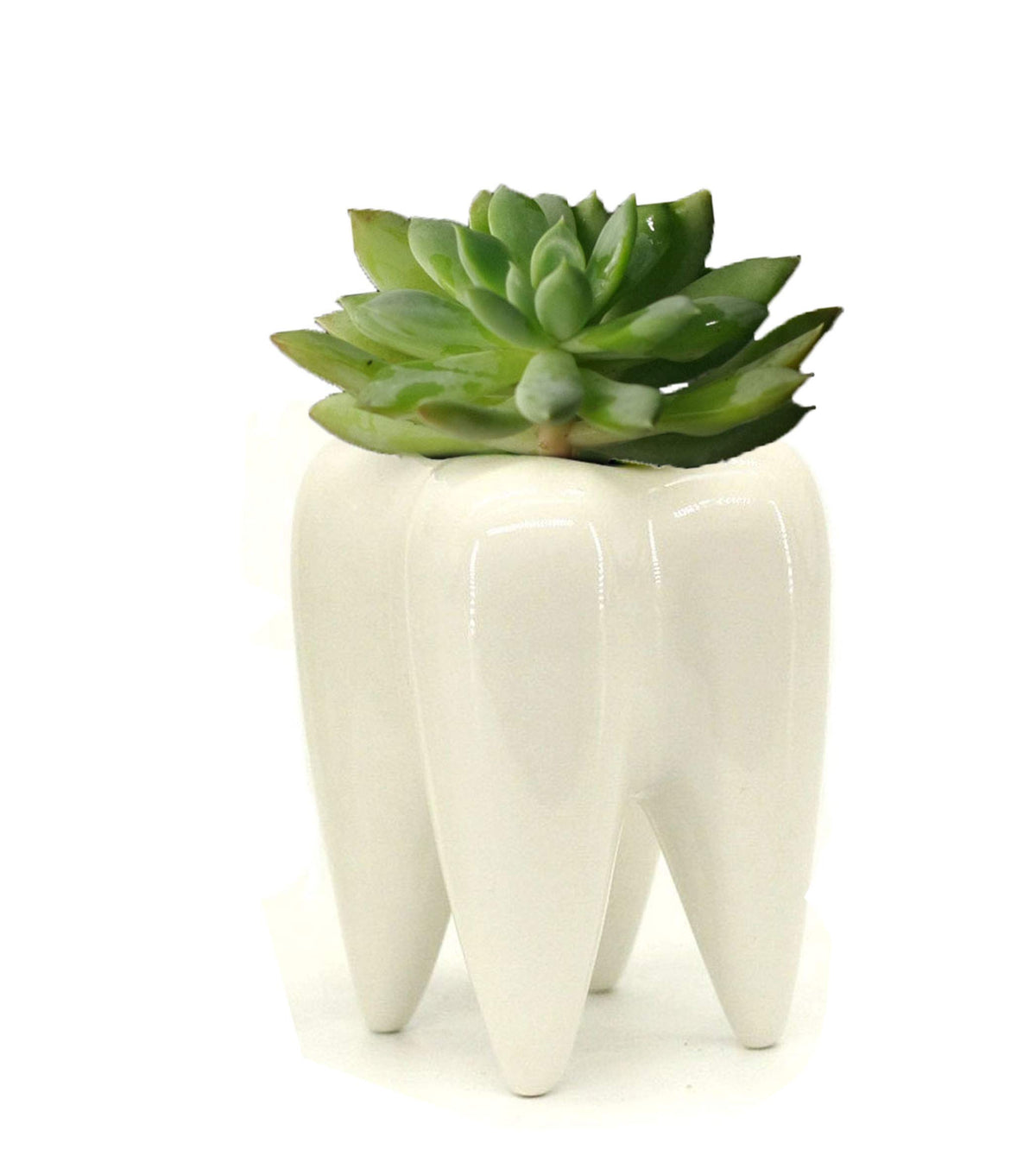 MONMOB tooth-shaped ceramic pot on a bathroom counter used as a toothbrush holder
