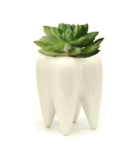 MONMOB tooth-shaped ceramic pot on a bathroom counter used as a toothbrush holder
