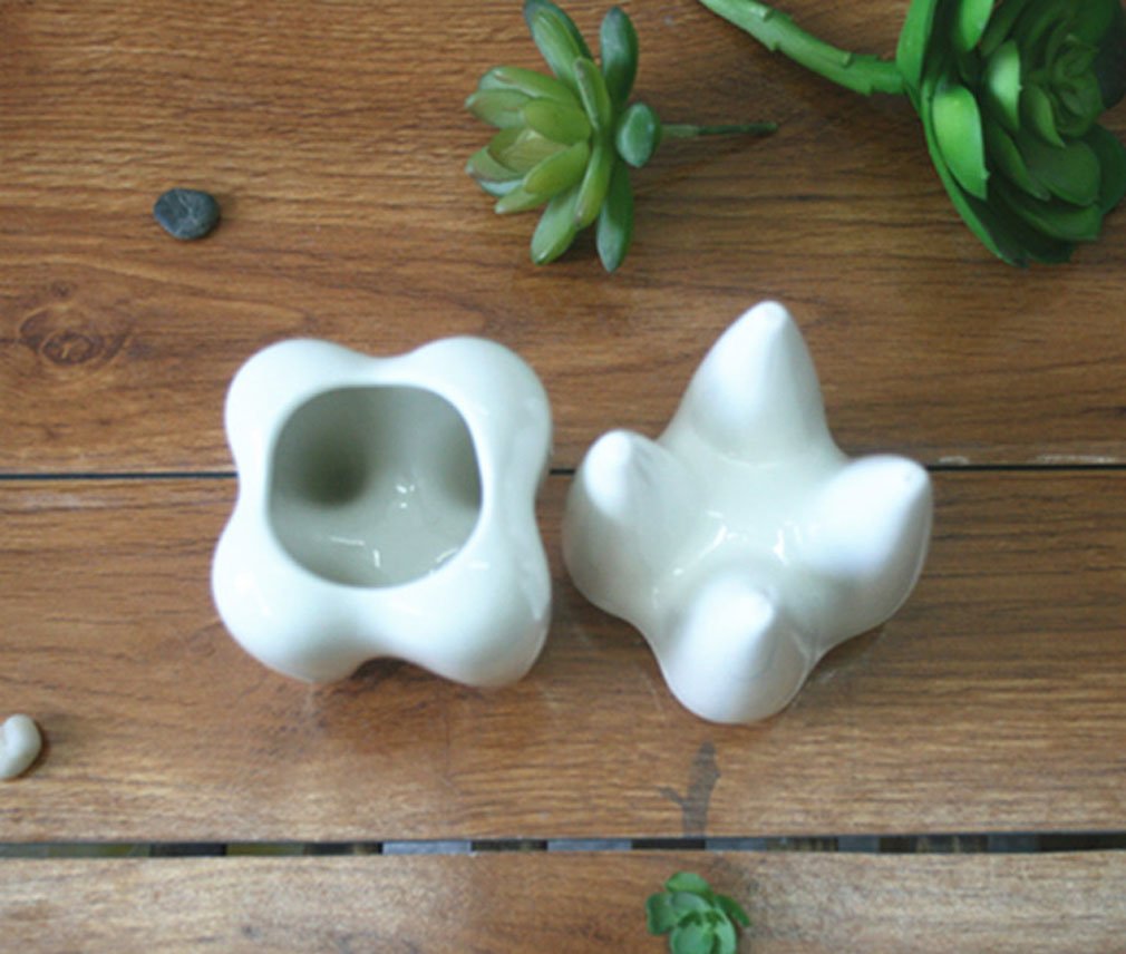 MONMOB tooth-shaped pot shown as a dentist gift idea