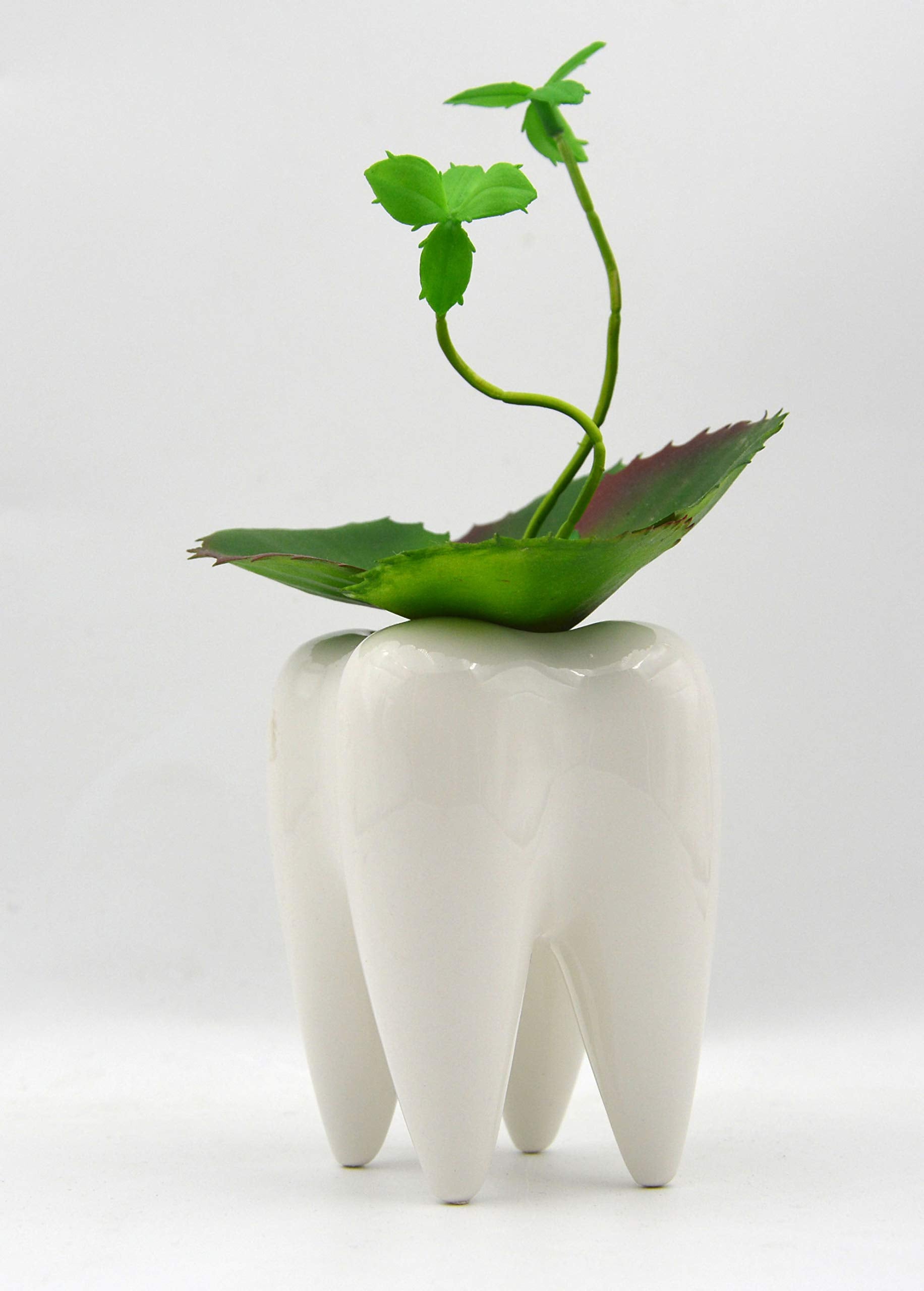 MONMOB tooth-shaped pot enhances home or office styling