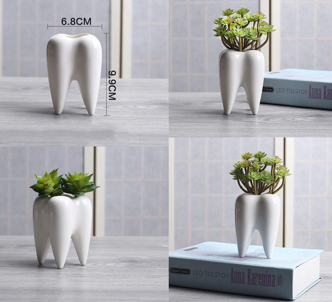 MONMOB tooth-shaped ceramic pot adding office decor with a modern vibe