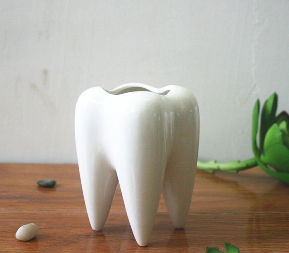 MONMOB tooth-shaped pot displaying a tiny succulent plant (plant not included)