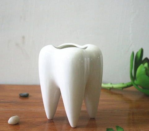 MONMOB tooth-shaped pot displaying a tiny succulent plant (plant not included)