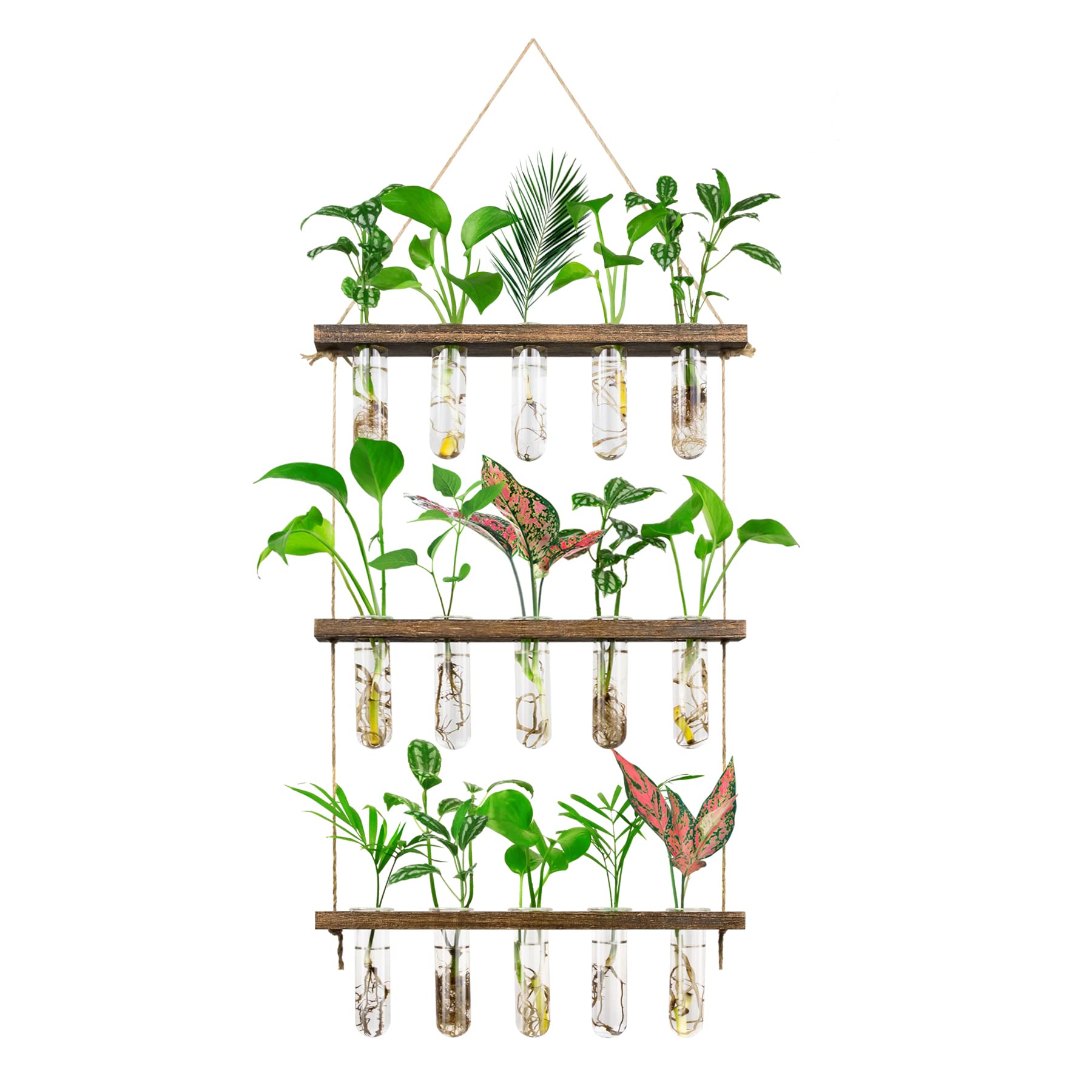 Monsiter QE 3-tier propagation station with wooden stand for home plant propagation.