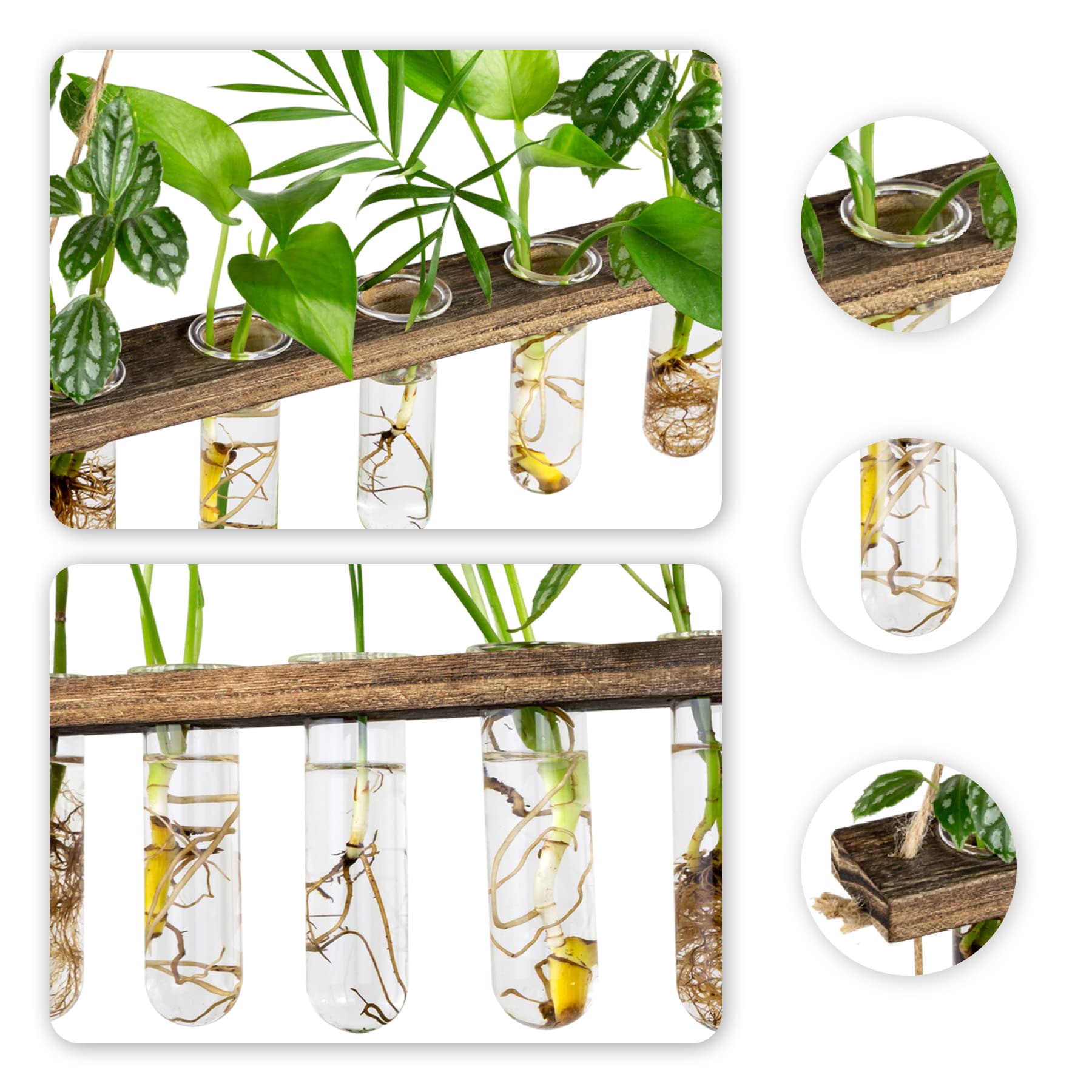 Monsiter QE close-up test tubes reveal glass clarity for growth monitoring.
