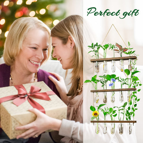 Monsiter QE complete kit includes 15 glass tubes for versatile propagation.