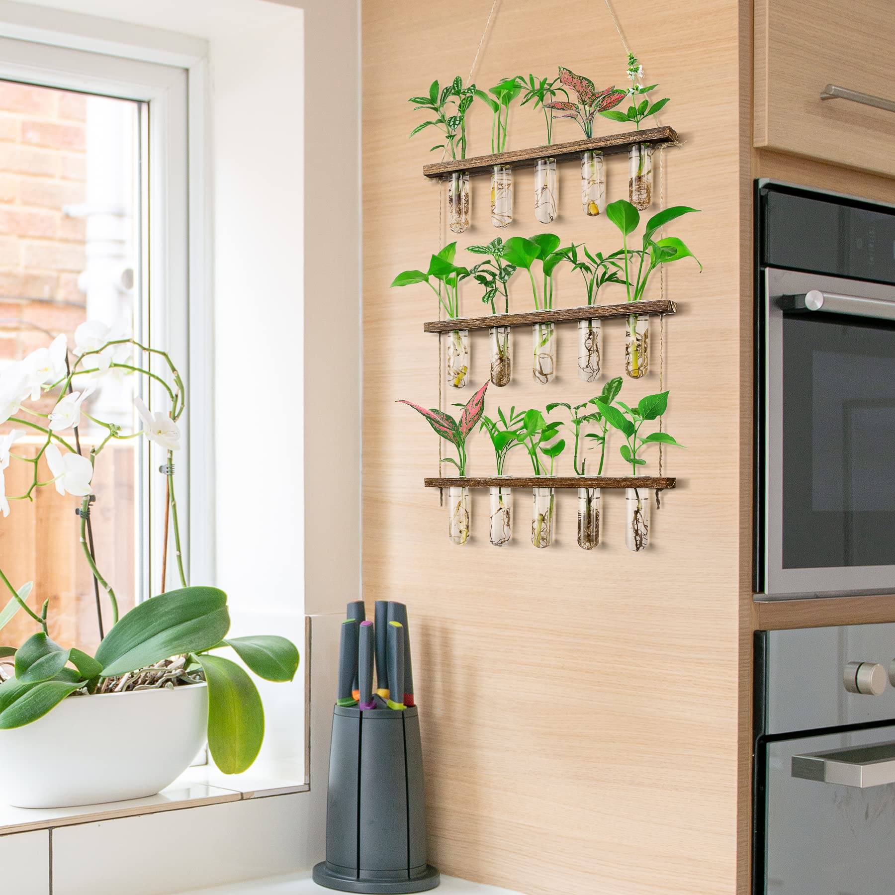 Monsiter QE decorative hanging planter adds natural greenery and calm vibes.