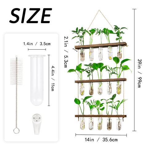 Monsiter QE hanging test tubes showcase hydroponic cuttings clearly.