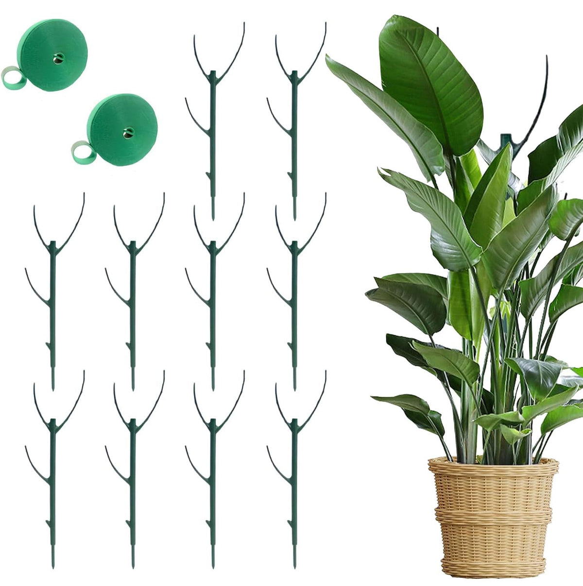 10pcs stackable monstera plant support stakes close-up showing sturdy vertical support for vines