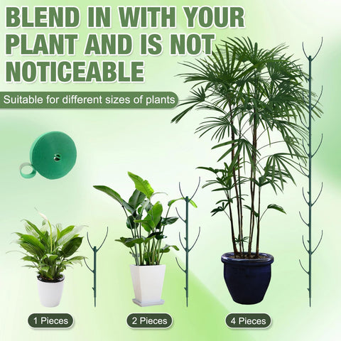 Monstera stackable stakes in pot demonstrating easy insertion for vertical growth