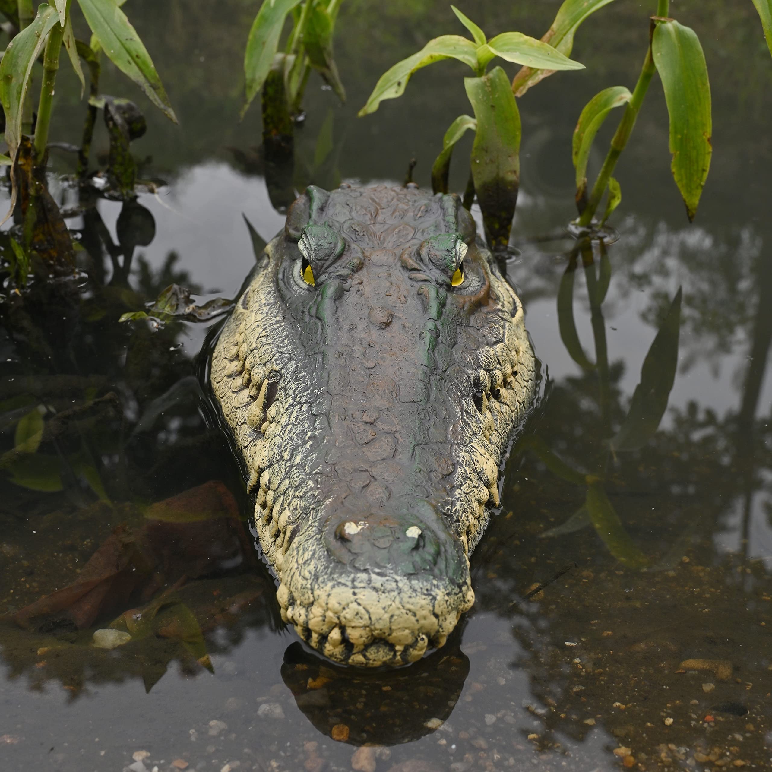 Mont Pleasant resin alligator head decoy withstands outdoor elements for long-lasting use.