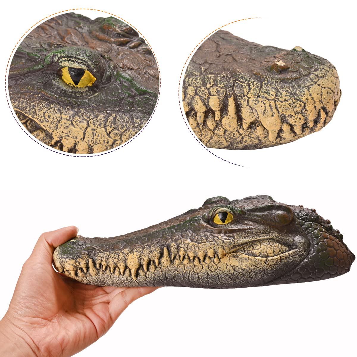 Mont Pleasant alligator head decoy on water deters birds and keeps ponds clean.