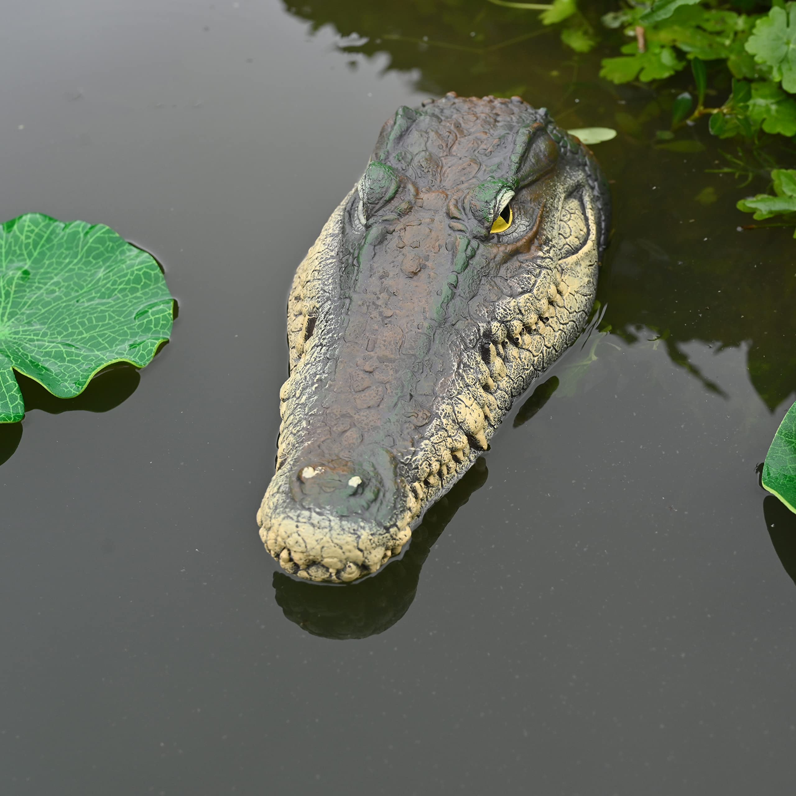 Mont Pleasant lifelike alligator head floats, adding drama and deterrence to any yard.